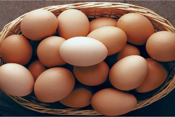 تصویر 4 از خرید تخم مرغ محلی + قیمت فروش استثنایی